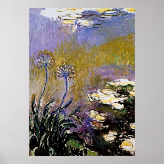 Monet - Agapanthus, fijne kunst, Poster (Voorkant)