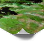 Monet - Apple Trees in Bloom Poster (Hoek)