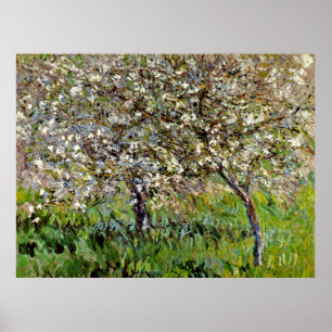 Monet - Apple Trees in Bloom Poster