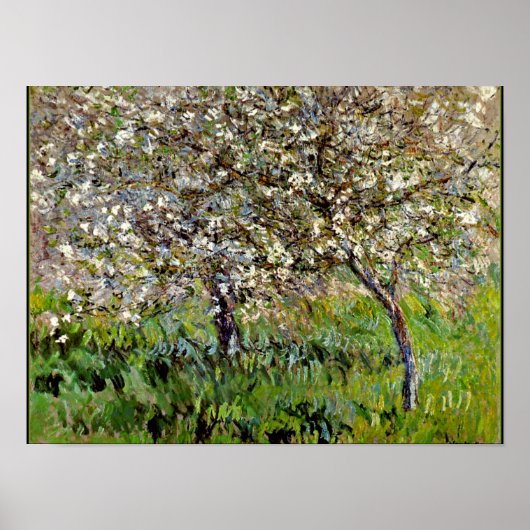 Monet - Apple Trees in Bloom Poster (Voorkant)