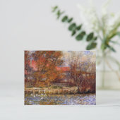 Monet - De vijver met eenden, fijnschilderkunst Briefkaart (Staand voorkant)