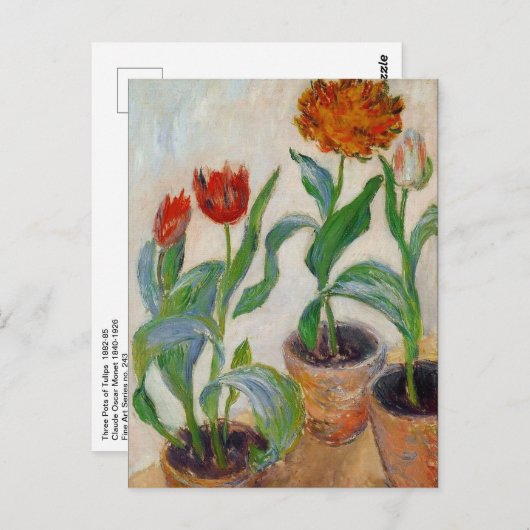 Monet Drie Pots Tulps Briefkaart (Voorkant / Achterkant)