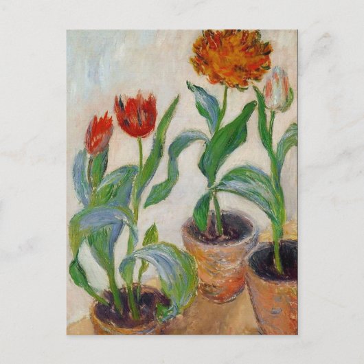 Monet Drie Pots Tulps Briefkaart (Voorkant)