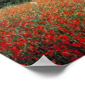 Monet Field of Red Poppies Poster (Hoek)