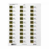 Monet Franse Japanse Brug Giverney Etiket (Full Sheet)