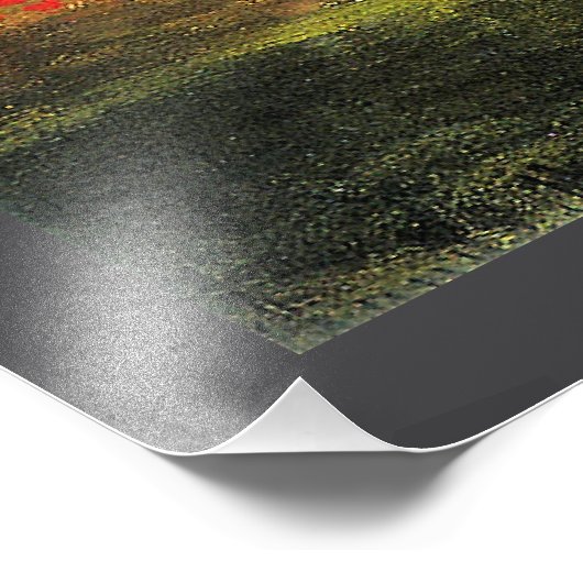 Monet - Garden in Bloom Foto Afdruk (Hoek)