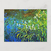 Monet - Iris bij de Zee Roos Pond Briefkaart (Voorkant)