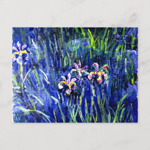 Monet - Irises Briefkaart