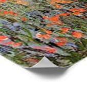 Monet - Laan in de klaprozen Poster (Hoek)