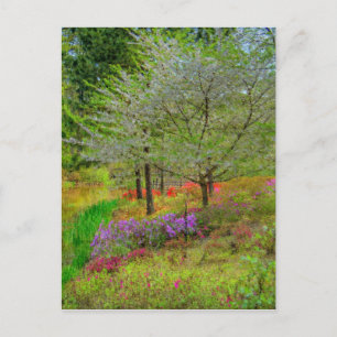 Monet Landschap Briefkaart