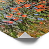 Monet - Lane in de papavervelden Poster (Hoek)