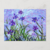 Monet Lila Irises Briefkaart (Voorkant)
