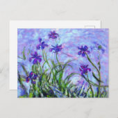 Monet Lila Irises Briefkaart (Voorkant / Achterkant)