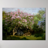 Monet - Lilacs in de zon Poster (Voorkant)