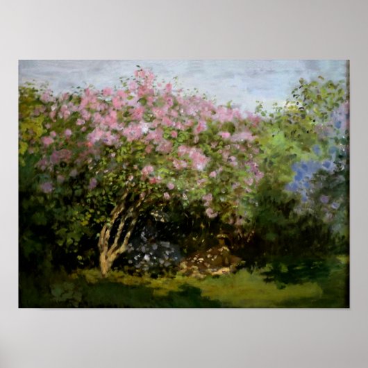 Monet - Lilacs in de zon Poster (Voorkant)