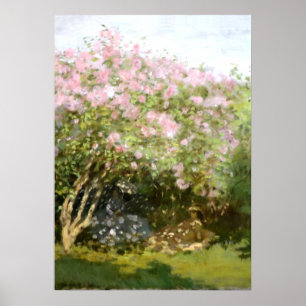 Monet - Lilacs in de zon Poster