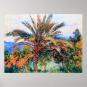 Monet - Palmboom in Bordighera, Poster (Voorkant)