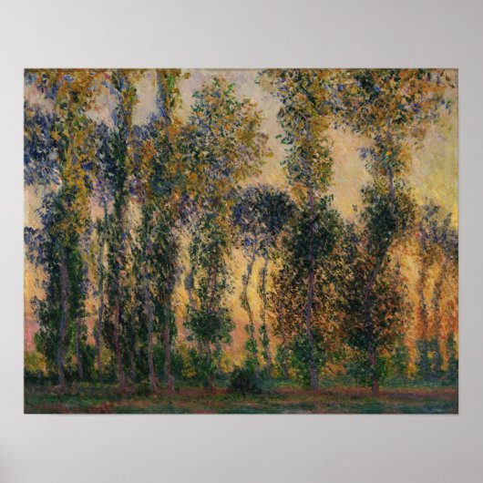 Monet - Poplars at Giverny 1888 Poster (Voorkant)