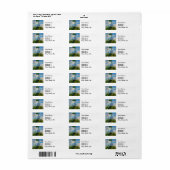 Monet Vrouw Parasol Impressionisme Etiket (Full Sheet)
