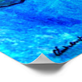 Monet Water Lillies Poster (Hoek)