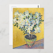 Monet - White Azaleas in a Pot,  Briefkaart (Voorkant / Achterkant)