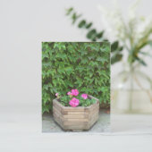 Monetbloemen Briefkaart (Staand voorkant)