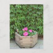 Monetbloemen Briefkaart (Voorkant)