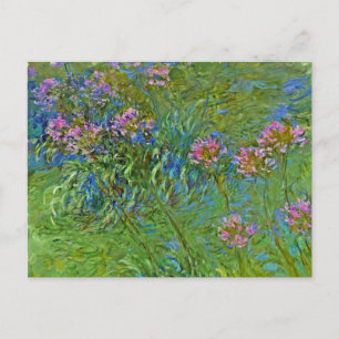 Monet's Agapanthus Flowers Briefkaart