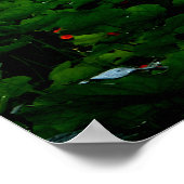 Monet's Garden, Giverny, Frankrijk in het najaar Poster (Hoek)