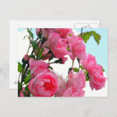 Monet's Rose Garden Briefkaart (Voorkant / Achterkant)
