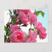 Monet's Rose Garden Briefkaart (Voorkant)