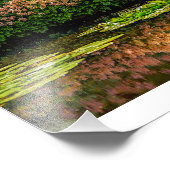 Monet's waterlelies foto afdruk (Hoek)