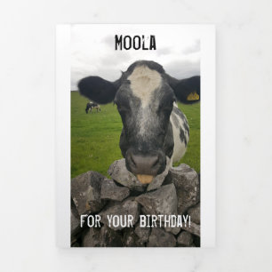 Money Birthday card - Flap vouwt rond geld Drieluik Aankondiging