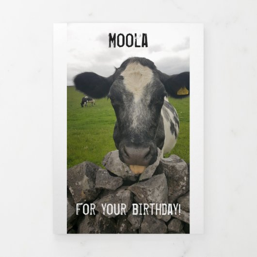 Money Birthday card - Flap vouwt rond geld Drieluik Aankondiging (Cover)