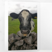 Money Birthday card - Flap vouwt rond geld Drieluik Aankondiging (Binnenzijde eerst)