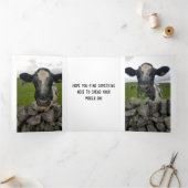 Money Birthday card - Flap vouwt rond geld Drieluik Aankondiging (Binnen)