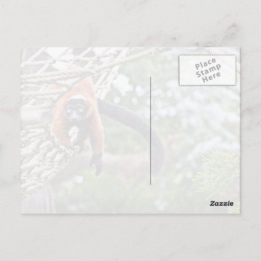 Money on Tree Briefkaart (Achterkant)