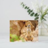 Mongoes die zich lang bevinden briefkaart (Staand voorkant)