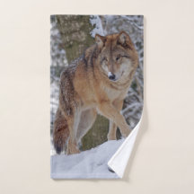 Mongoliaanse alfawolf in sneeuw