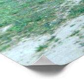 Mongoliaanse (Przewalskii) wilde paarden Poster (Hoek)