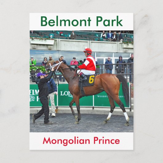 Mongolian Prince Briefkaart (Voorkant)
