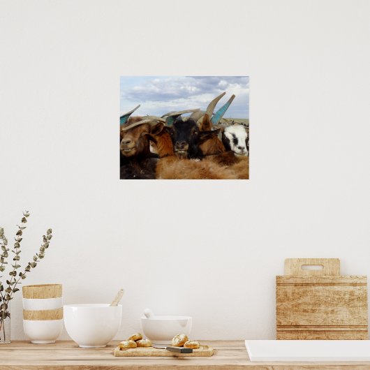 Mongoolse geiten poster (Keuken)