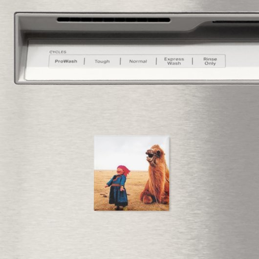 Mongoolse herinneringen2 magneet (Insitu (Vaatwasser))