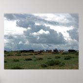 Mongoolse paarden poster (Voorkant)