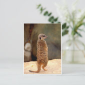 Mongoose10 Briefkaart (Staand voorkant)
