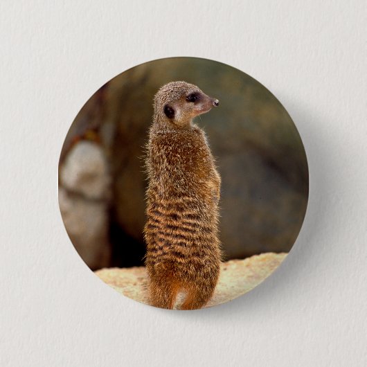 Mongoose10 Ronde Button 5,7 Cm (Voorkant)