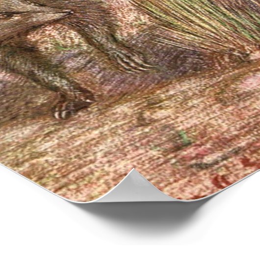 Mongoose en Cobra door Sargent,  in het wild leven Poster (Hoek)