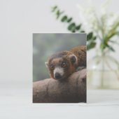 Mongoose Lemur Briefkaart (Staand voorkant)