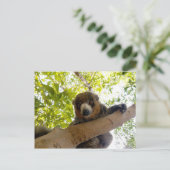 Mongoose lemur briefkaart (Staand voorkant)