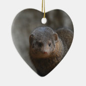 Mongoose Ornament (Rechts)